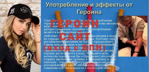 индика Бородино