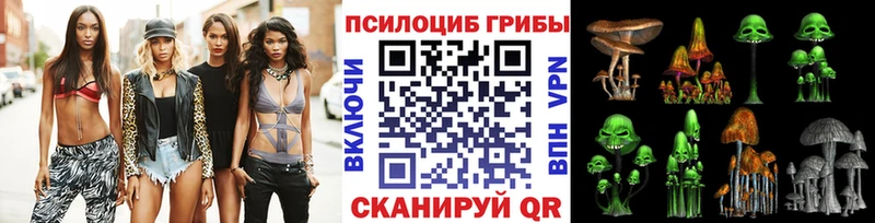 Псилоцибиновые грибы GOLDEN TEACHER  МЕГА   Пошехонье  магазин продажи наркотиков 